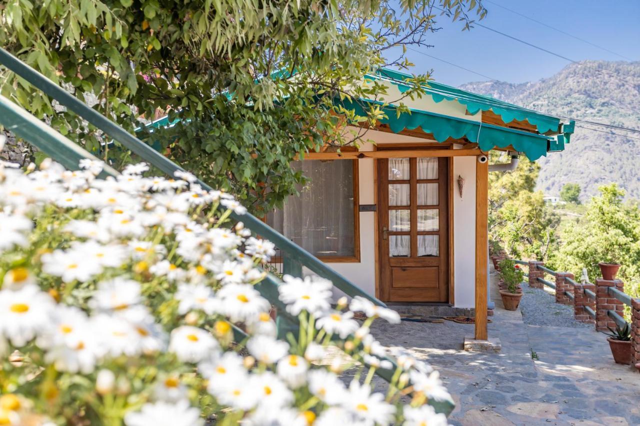 Seclude Ramgarh Willows 외부 사진